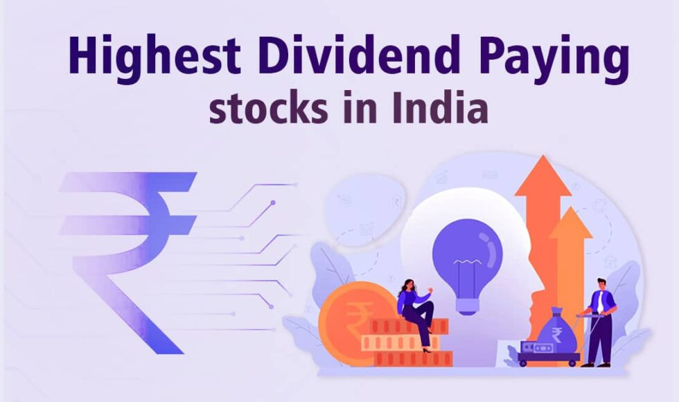 Top 11 Highest Dividend Paying Stocks in India 2022